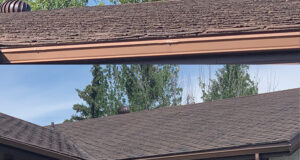 shingle rejuvenation near me