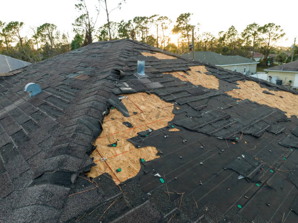 roof maintenance solutions