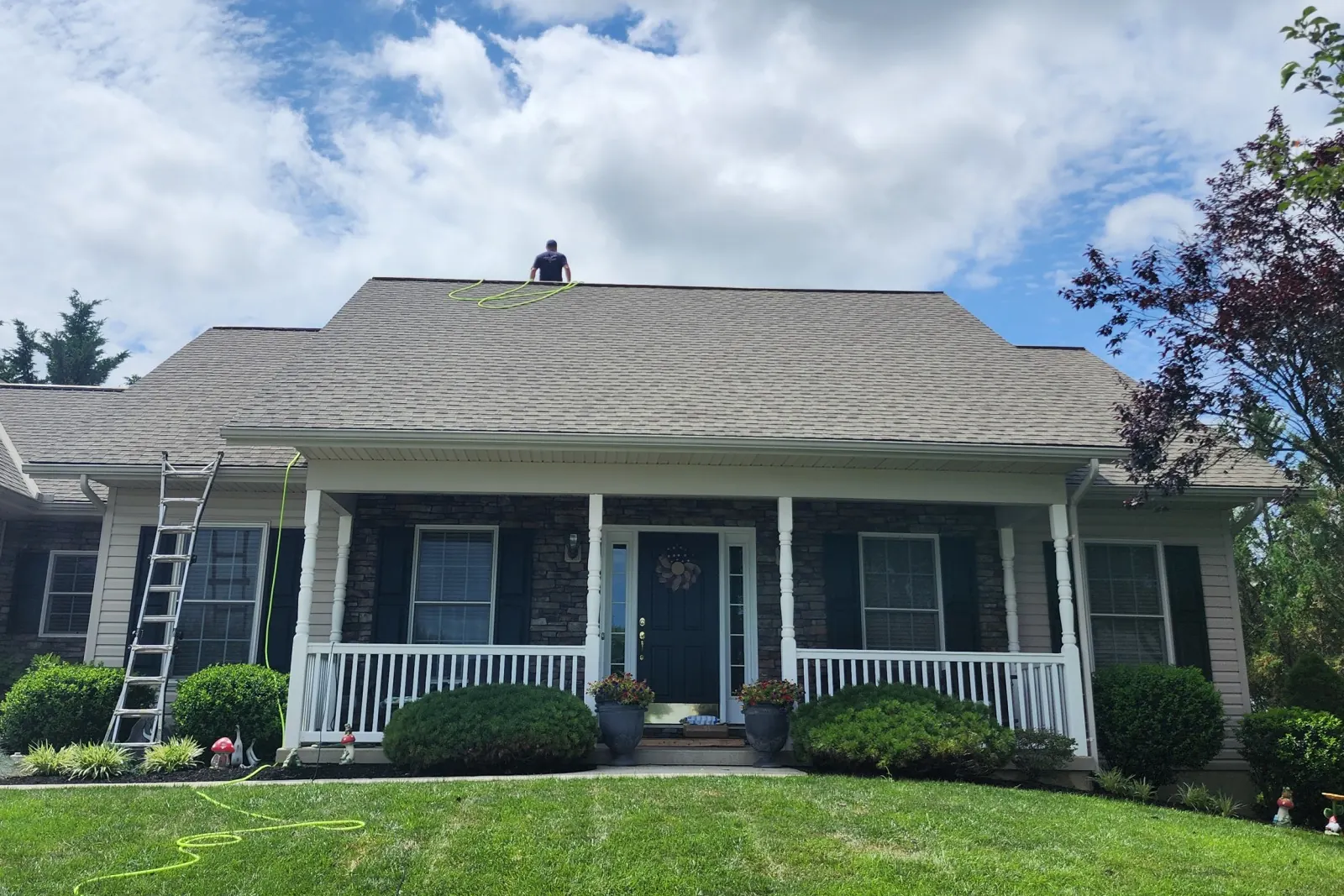 Weathered asphalt shingle roof before soy oil roof treatment